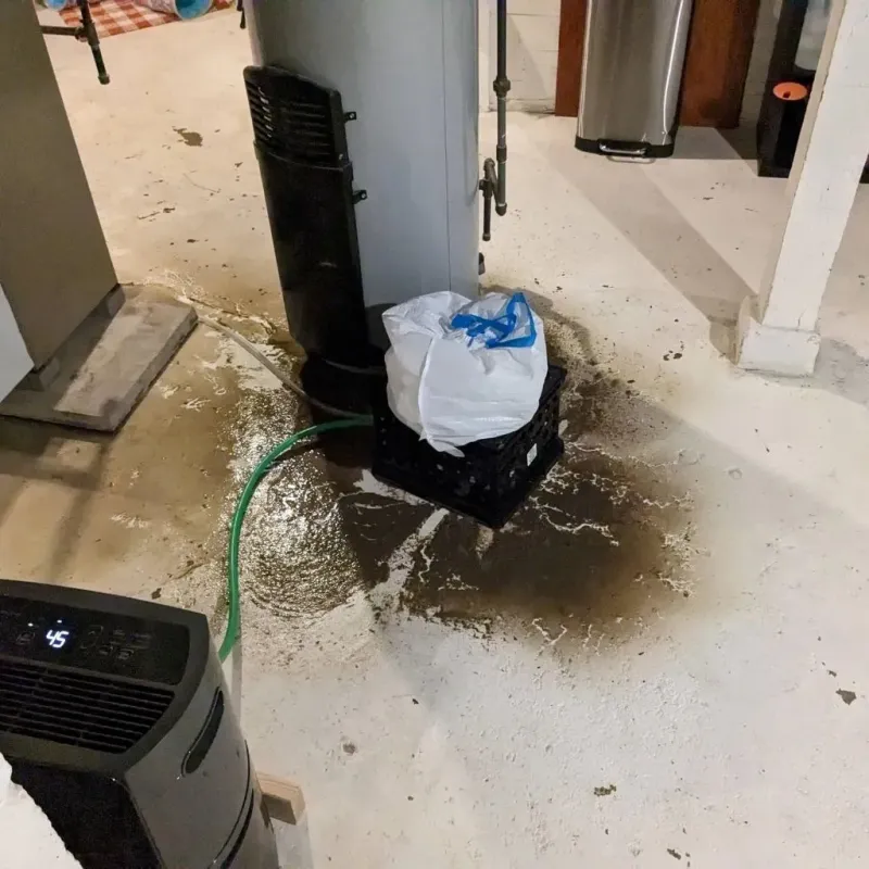 Sewage Backup Cleanup Service in Eastpoint, FL